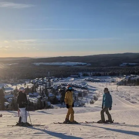 別荘 Cozy Year-round On Family Friendly Furutangen Amot